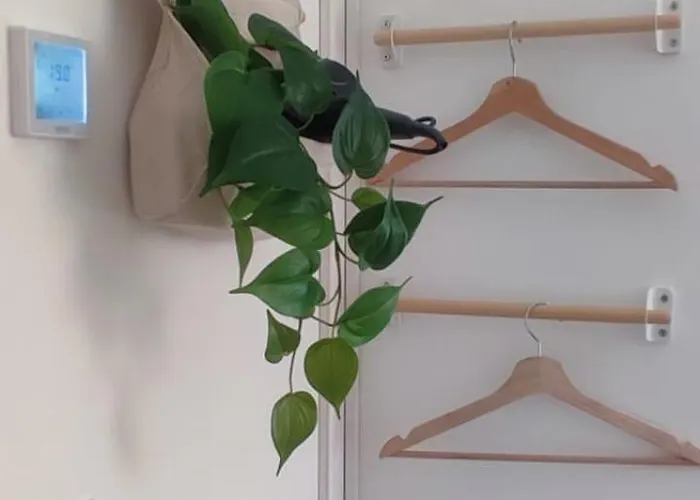 Casa Do Albuquerque Sintra